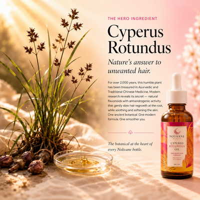 Nolivane No. 01 — Cyperus Rotundus Hair Reduction Oil